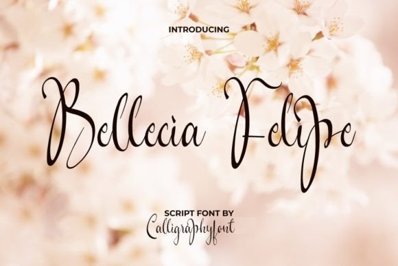 Bellecia Felipe: The Perfect Script Font for Polished Brand Identity