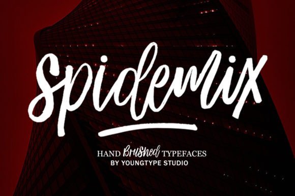 Spidemix: A Dynamic Typeface for Modern Editorial Design